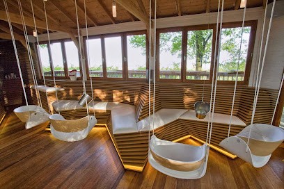 PERCHINGBAR, Bar à Verzy