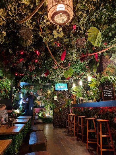 Le jungle bar, Bar à Calais
