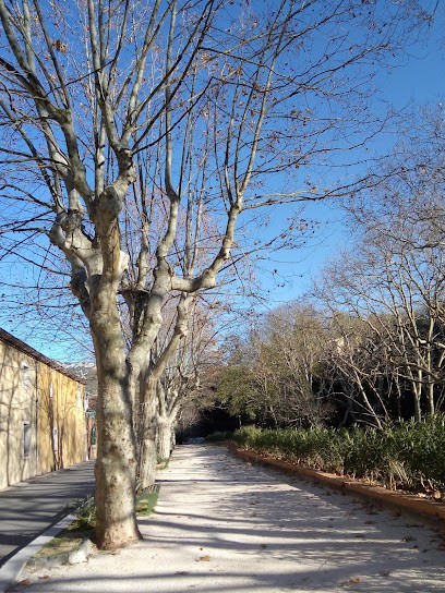 Le Terminus, Bar au Revest-les-Eaux