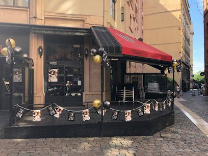 Wallace Snug, Bar à Lyon 02