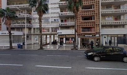 Navy Irish Pub, Bar à Toulon