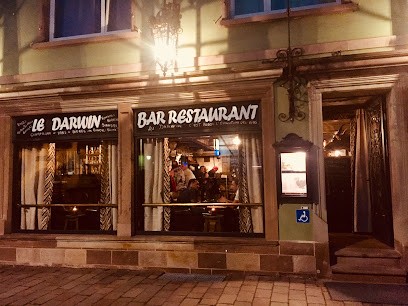 Le Darwin, Bar à Châtenois