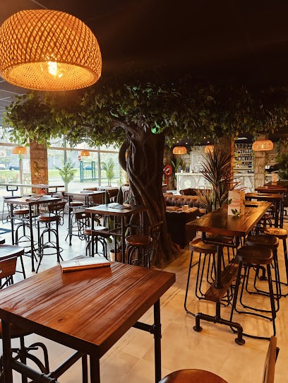 Freeing Café, Bar à Saint-Maximin