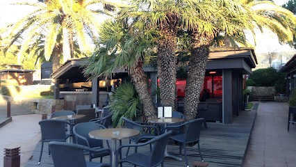 LE COLISEE, Bar à Grosseto-Prugna