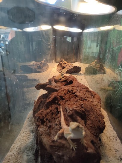 Le Royal, Bar à Saint-Rémy-sur-Avre