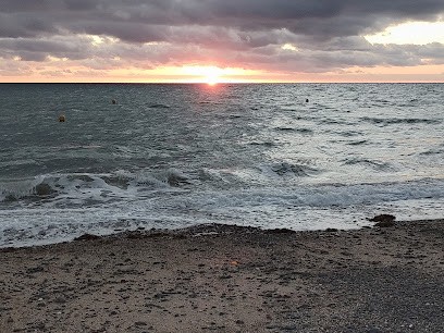 Bar Noroit Le, Bar à Donville-les-Bains