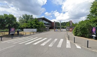 Central Bar, Bar à Toulouse