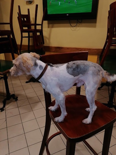 Bar Tabac Presse Loto, Bar à Clermont-Ferrand