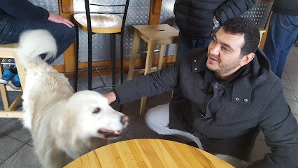 Huriau Frédéric, Bar à Halluin