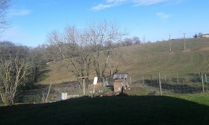 Demen Jacques, Bar à Hagetmau