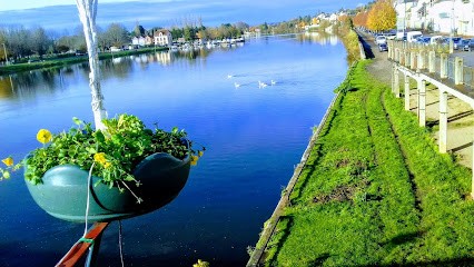 La Civette, Bar à Joigny