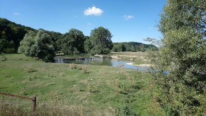 Le Marcassin, Bar à Senuc
