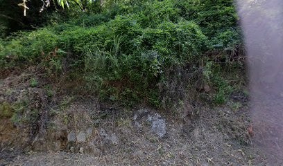 Ceccaldi Paul Paul, Bar à Marignana