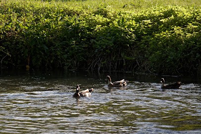 Le Provencal, Bar à Vers-sur-Selle