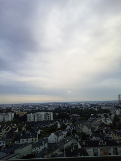 Le Carré D'As, Bar à Lorient