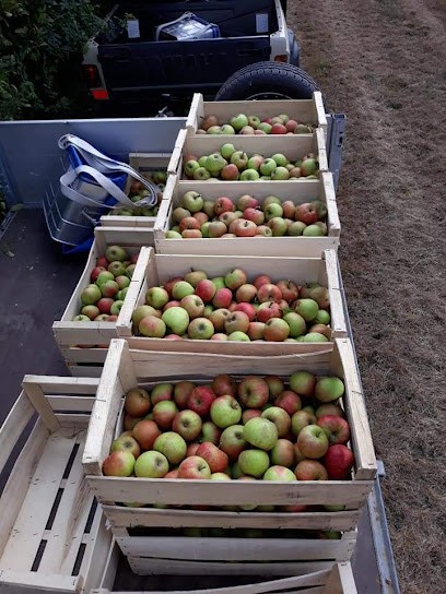 Cidre Chivet, Bar à Louzouer