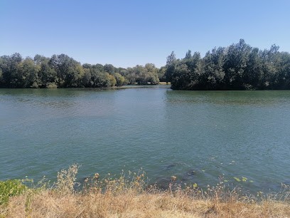 Bar Le Californie, Bar à Saint-Rémy