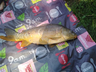 Cariou Genevieve, Bar à Cheyssieu