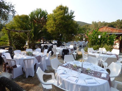 Le Cabanon Corse, Bar à Sarrola-Carcopino