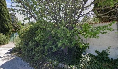 OXXO Hookah&Coffee, Bar à Saint-Mitre-les-Remparts