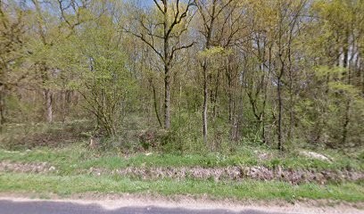 Fra, Bar à Salt-en-Donzy