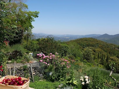 Foyer D'animation De Prats-de-Sournia, Bar à Prats-de-Sournia
