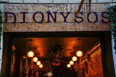 Dionysos, Bar à Marseille 07