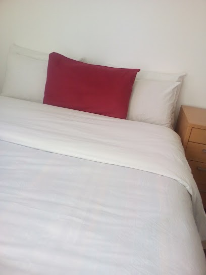 Bougaci Dalila, Bar à Saint-Fons