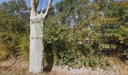 BAR LE SAINT TROP, Bar à Villeneuve-lès-Béziers