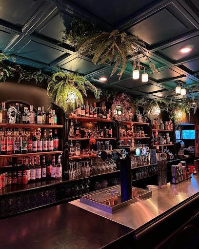 L'ASTRAL, Bar à Toulouse