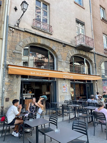 Cactus Bar, Bar à Lyon 05