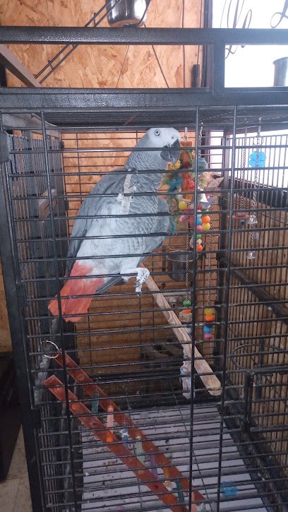 Le Liberty, Bar à Saint-Quentin