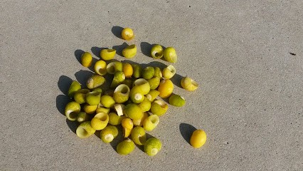 Quemener Gisele, Bar à Plouégat-Guérand