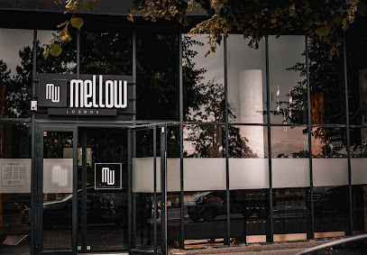 Mellow, Bar à Lille