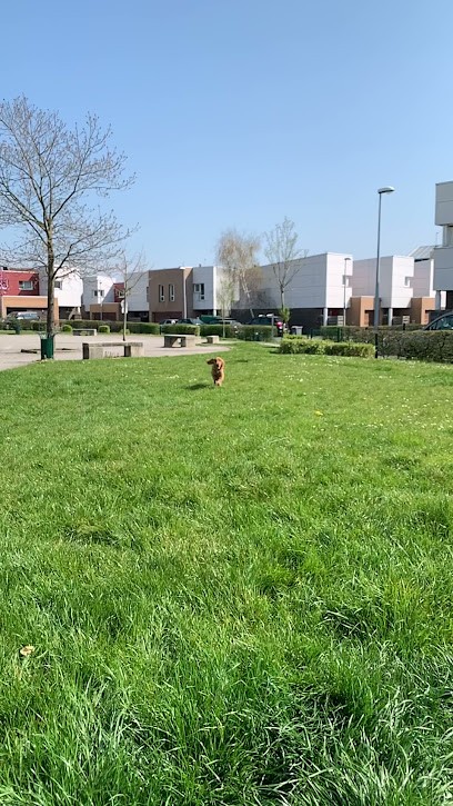 Association Au Soleil Du Portugal, Bar à Tourcoing