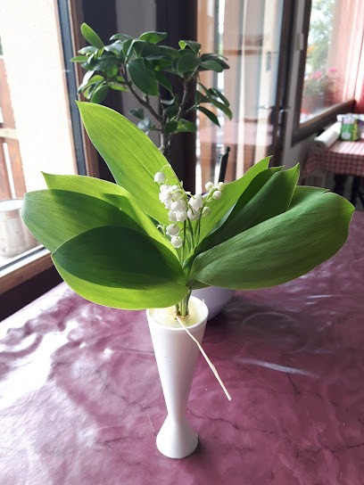 Poutignat Maryse Catherine, Bar à Saint-Ferréol-des-Côtes