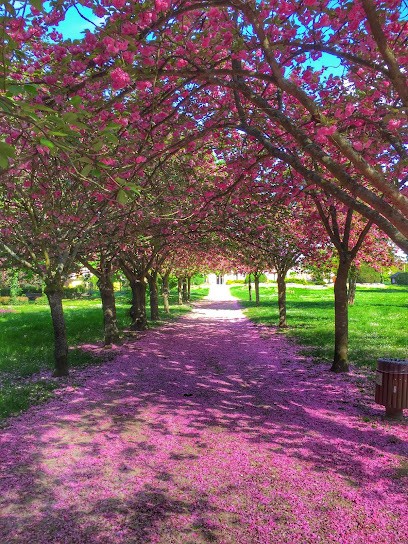 Asef, Bar à Saint-Germain-lès-Arpajon