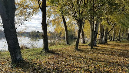 Le Brazza, Bar à Draveil