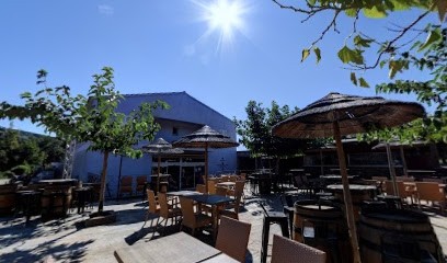 Distillerie De Pietracorbara, Bar à Pietracorbara