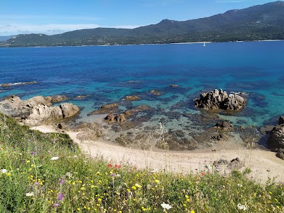 Bar Manhattan, Bar à Propriano