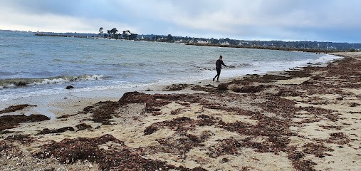 Le Bistro de L Ocean, Bar à La Forêt-Fouesnant