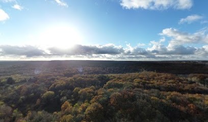Omni Sports, Bar à Saint-Étienne-du-Rouvray
