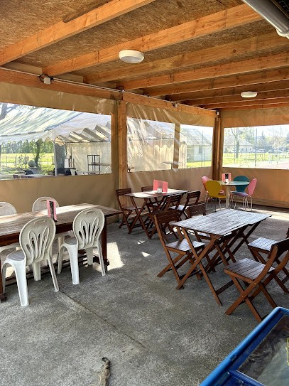 Guinguette De La Grande Pâture, Bar à Vernantes