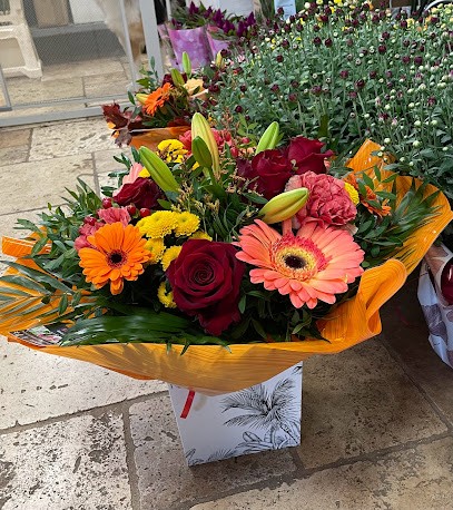 Café de la mairie, Bar à Mussidan