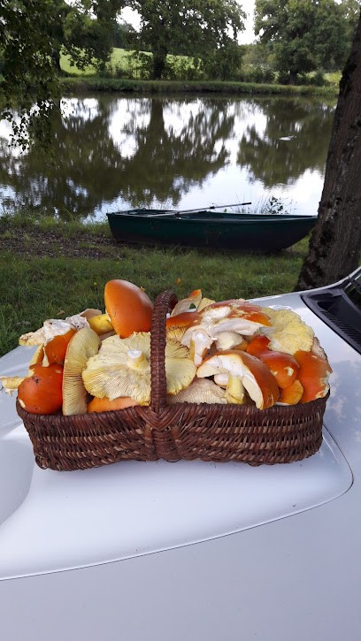 Floquet Jean-Marie, Bar à Saint-Denis-de-Jouhet