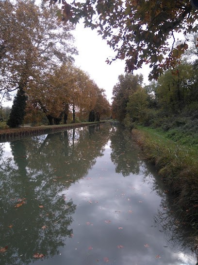 Sarl Belvi, Bar à Fourques-sur-Garonne