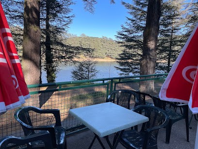 Bar Les Cèdres, Bar à Saint-Marcel-lès-Annonay