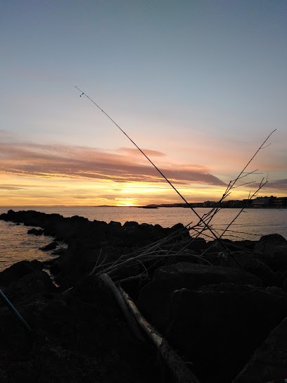 Le Dauphin, Bar à Palavas-les-Flots