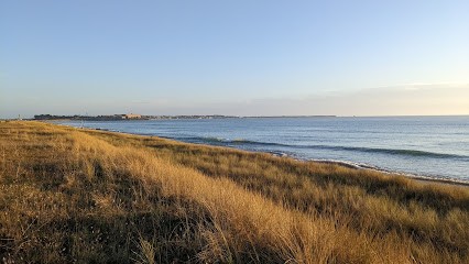 Le Surf, Bar à Saint-Pierre-Quiberon