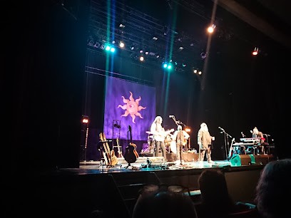 Bar du Lion, Bar à Vesoul